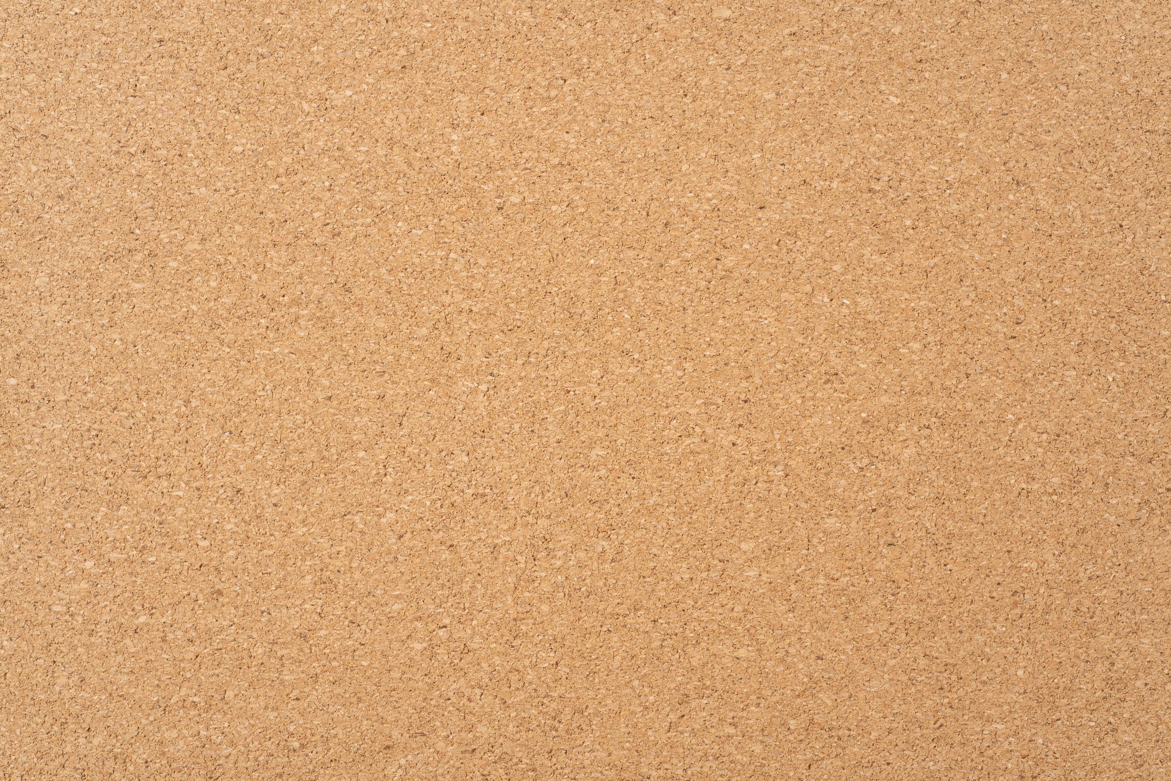 Corkboard Background